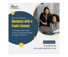 Get Your Wholesale Shop Trade License Hassle-Free!